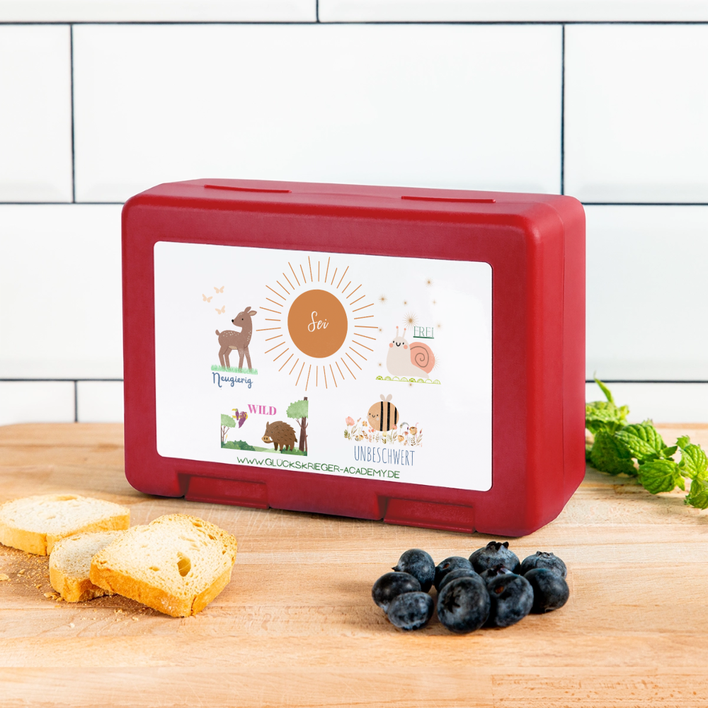 Kinder Lunchbox – Mut & Selbstvertrauen für jeden Tag - red