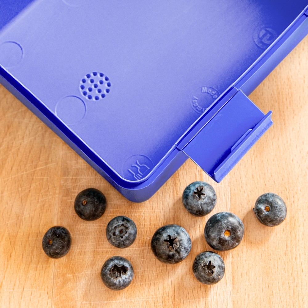 Kinder Lunchbox – Mut & Selbstvertrauen für jeden Tag - royal blue